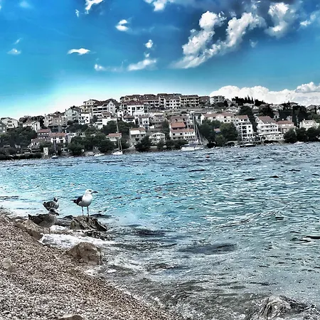 The First One 로고즈니차