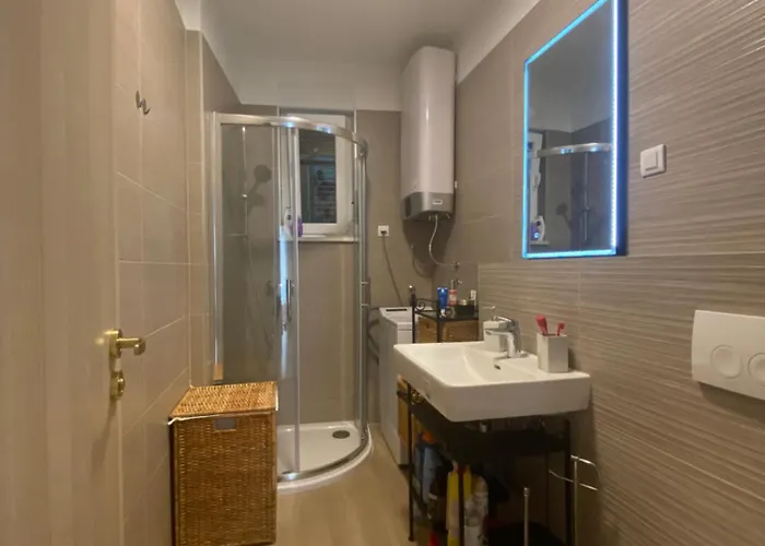 The First One 로고즈니차